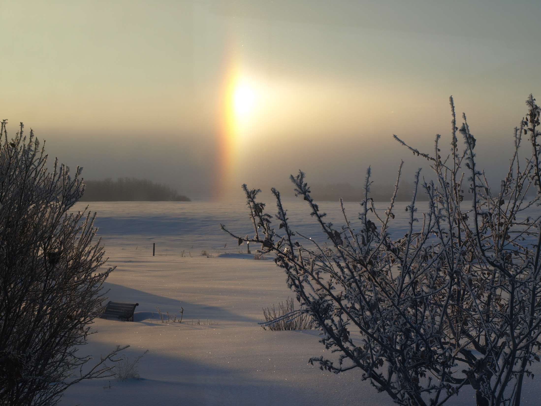 Winter Scenery & Nature Submission